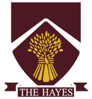 The Hayes Primary School